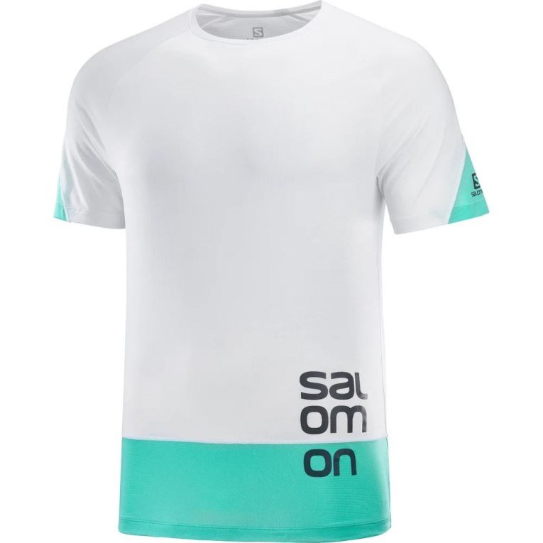 White / Turquoise Salomon Cross Run Graphic Short Sleeve Men's T-Shirts | IE NP9375